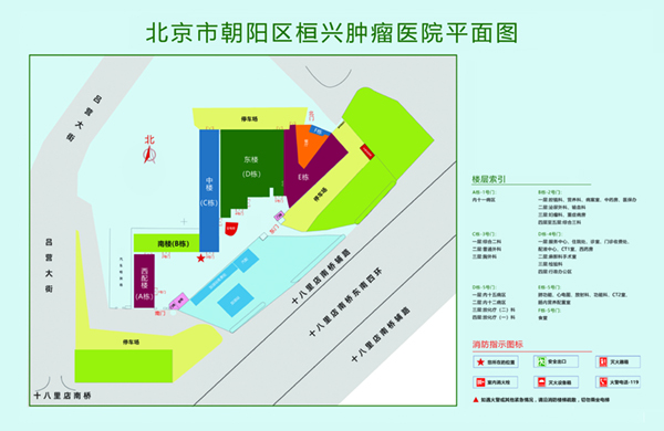 被操得啊啊啊叫北京市朝阳区桓兴肿瘤医院平面图